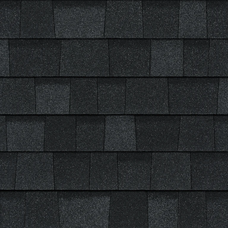 O Onyx Black Oakridge shingle color