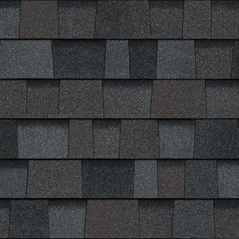 Williamsburg Gray TruDefinition Duration shingle color