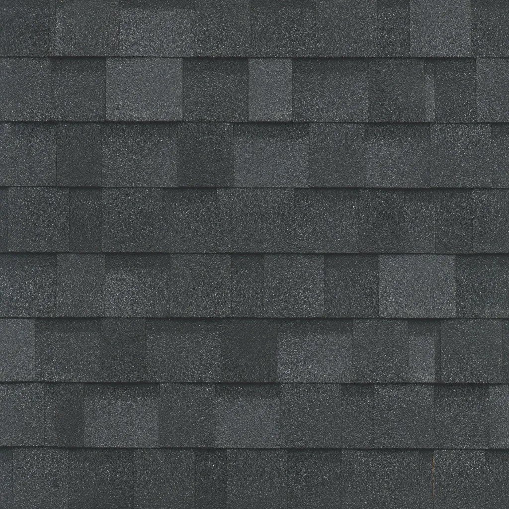 Granite Black Dynasty shingle color