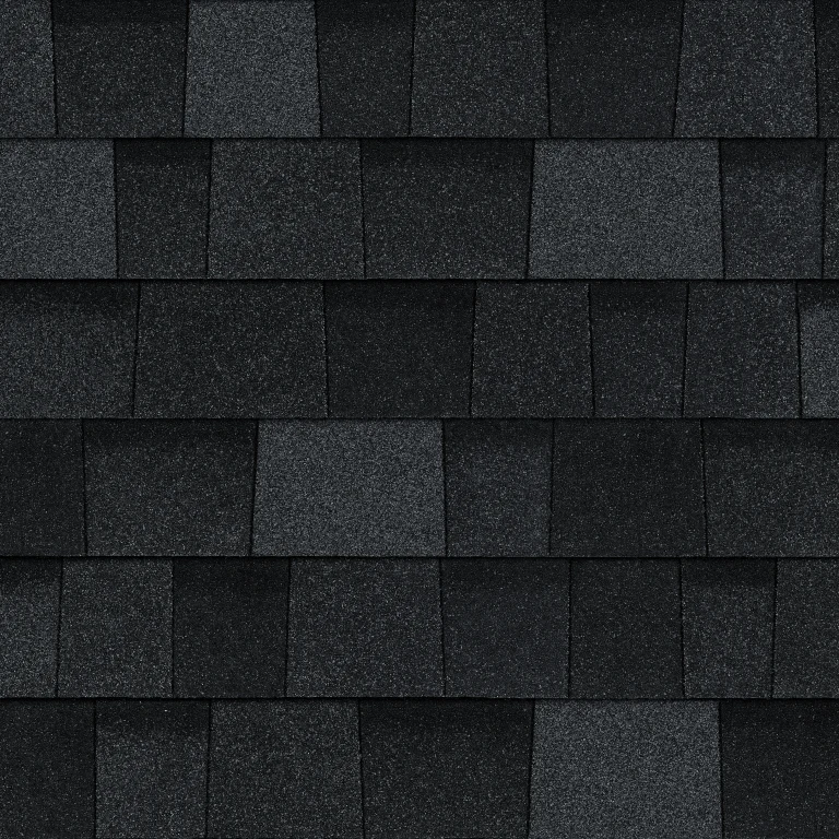 Onyx Black TruDefinition Duration shingle color